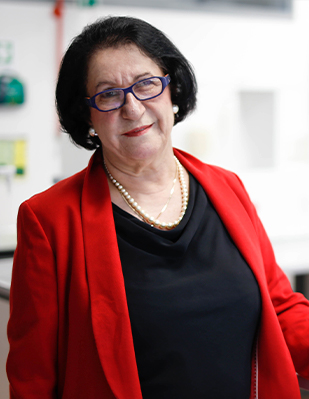 Prof. Despoina Sapountzi-Krepia