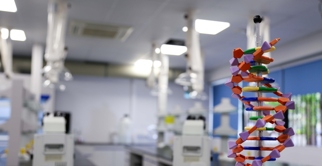 pharmacy lab frederick university nicosia campus